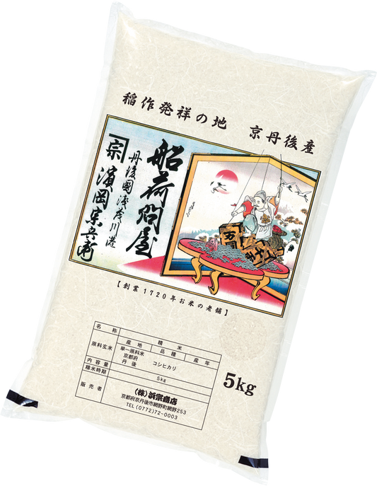 【令和6年京丹後産】特別栽培米 丹後コシヒカリ（精米）